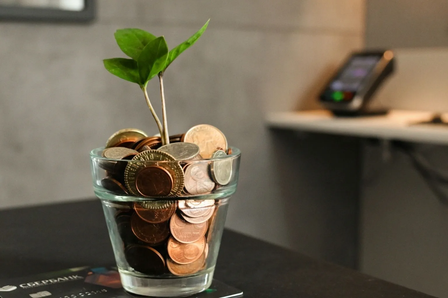 OKX Money: новый криптокошелек с виртуальными картами и кэшбэком до 10%